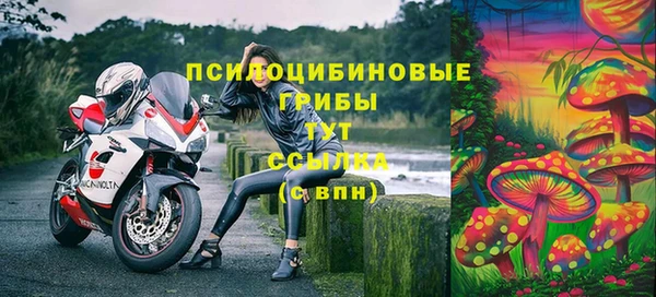 ГАЛЛЮЦИНОГЕННЫЕ ГРИБЫ Балабаново