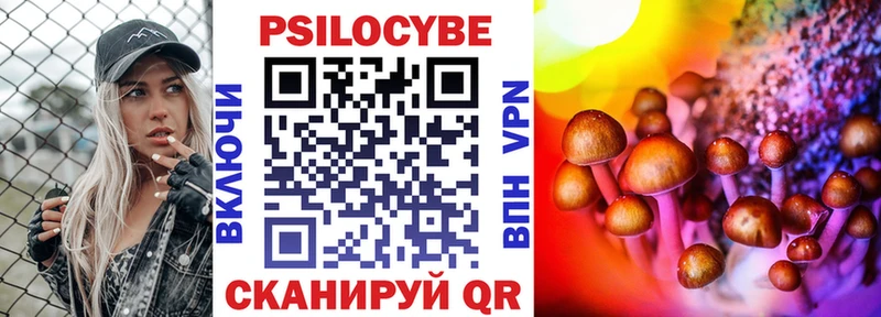 даркнет сайт  Ессентуки  Псилоцибиновые грибы Magic Shrooms 